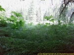 translaval-088.jpg