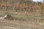 Filename=482.jpg
Filesize=304KiB
Dimensions=1024x683
Date added=Nov 03, 2008 482.jpg