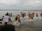 Filename=HPIM7482.jpg
Filesize=136KiB
Dimensions=1000x749
Date added=Jan 01, 2009 HPIM7482.jpg