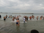 Filename=HPIM7484.jpg
Filesize=129KiB
Dimensions=1000x749
Date added=Jan 01, 2009 HPIM7484.jpg