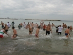 Filename=HPIM7485.jpg
Filesize=142KiB
Dimensions=1000x749
Date added=Jan 01, 2009 HPIM7485.jpg