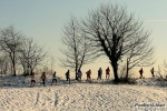 10_01_09_Briosco_BRIANZOLO_roberto_mandelli_0069.jpg
