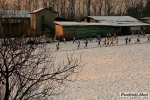 10_01_09_Briosco_BRIANZOLO_roberto_mandelli_0615.jpg
