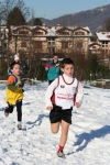 IMG_2953.jpg