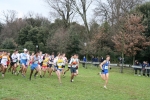 IMG_4427.JPG