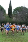 IMG_4428.JPG