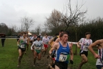 IMG_4583.JPG