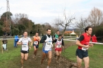 IMG_4733.JPG