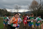 IMG_4873.JPG