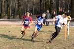 IMG_0965.jpg
