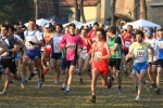 IMG_1053.jpg