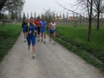 IMG_6768.jpg