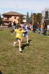 Filename=IMG_5153.jpg
Filesize=243KiB
Dimensions=667x1000
Date added=Mar 11, 2009 IMG_5153.jpg