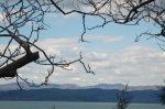 DSC_2615.jpg