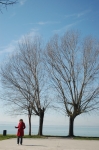 DSC_3155.jpg