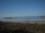strasimeno_088.jpg