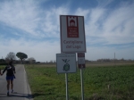 strasimeno_093.jpg