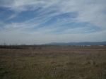 strasimeno_094.jpg