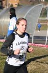 IMG_2313.jpg