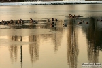 17_01_09_Giussano_BRIANZOLO_roberto_mandelli_0010.jpg