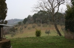 IMG_7381.jpg