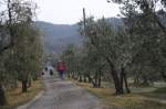IMG_7587.jpg