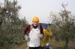 _MG_7550.jpg