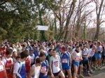 Filename=HPIM8315.jpg
Filesize=270KiB
Dimensions=1000x748
Date added=Jan 19, 2009 HPIM8315.jpg