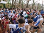 Filename=HPIM8316.jpg
Filesize=227KiB
Dimensions=1000x748
Date added=Jan 19, 2009 HPIM8316.jpg