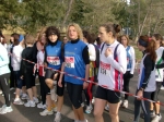 Filename=HPIM8327.jpg
Filesize=201KiB
Dimensions=1000x748
Date added=Jan 19, 2009 HPIM8327.jpg