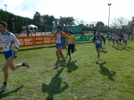 Filename=HPIM9759.jpg
Filesize=209KiB
Dimensions=1024x766
Date added=Feb 16, 2009 HPIM9759.jpg