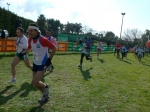 Filename=HPIM9760.jpg
Filesize=210KiB
Dimensions=1024x766
Date added=Feb 16, 2009 HPIM9760.jpg