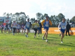 Filename=Uggento_043.jpg
Filesize=136KiB
Dimensions=800x600
Date added=Feb 16, 2009 Uggento_043.jpg