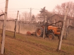 Filename=CIMG7529.jpg
Filesize=213KiB
Dimensions=1000x750
Date added=Mar 02, 2009 CIMG7529.jpg