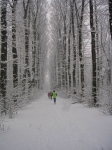DSCN4187.JPG