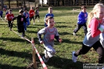 14_02_09_Monza_Parco_BRIANZOLO_roberto_mandelli_0302.jpg
