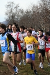 IMG_3389.jpg