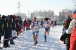 IMG_4519.jpg