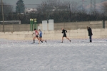 IMG_8963.jpg
