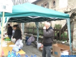 MaratonaPiacenza_Foto_F_Dellapiana040.jpg