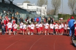 IMG_9388.jpg