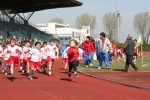 IMG_9394.jpg