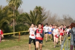 IMG_5310.jpg