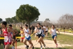 IMG_5487.jpg
