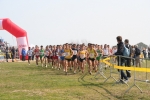 IMG_5605.jpg
