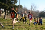 IMG_2459.jpg