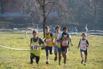 IMG_2535.jpg