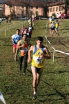 IMG_2597.jpg
