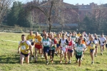 IMG_2639.jpg