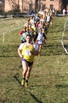 IMG_2642.jpg